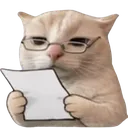 CatNoted