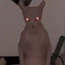 emoji_64