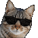 catEpic