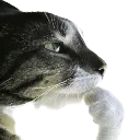 lemmethink