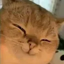 Niweiseeisee