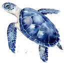 blueturtle
