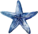 bluestarfish