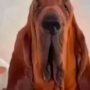 emoji_109
