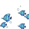 fishswim