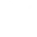fineshi