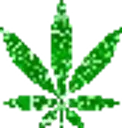 aftr_glitterweed