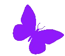 aftr_butterflypurple