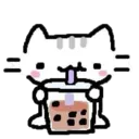 white_sip_cat