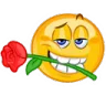 yellow_y_brose