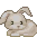 brown_1_wbunny