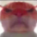 A close-up, distorted image of a hamster staring directly forward with an intense, angry expression.