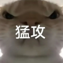 A close-up of a cat face looking directly at the camera with an intense, serious expression and Chinese characters overlaid …