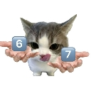 :67: