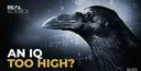 Highiq