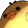 chick_stare_glare