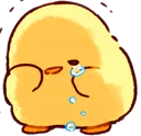 chicks_sad