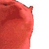 catjam Discord emoji