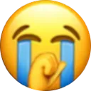 :sob: