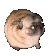 Paara_Dance