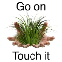TOUCH_IT_NOW
