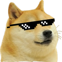 :Dogeshbhai: