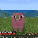 :pinksheep:
