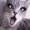 Gasp