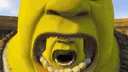 sherk_pog