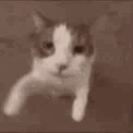 :kisss: