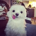 silly
