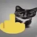 9330585307501158601