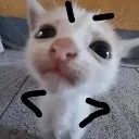 catangy_resented