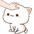 catheadpat