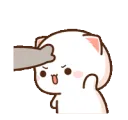 catcomehere