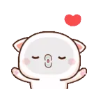 catkiss