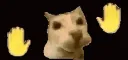 dancingkitty
