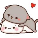 catcuddle