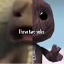 Ihavetwosides custom emote | ツ ECOX SMP