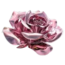 pink_rose