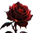 red_rose