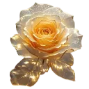 Yellow_rose
