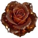 brown_rose