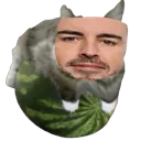 h_catalonsowatermelon