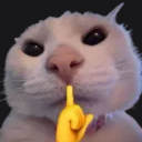 shhh Discord emoji