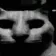 r_catdamnation
