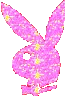 HOT_SHOT_a_playboy_pink