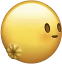 butthole
