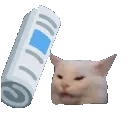 bonkcat
