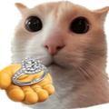 :Ring: